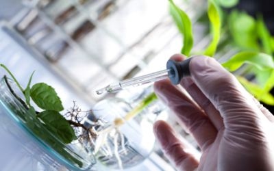 DNA: A New Frontier in Botanical Identity Testing