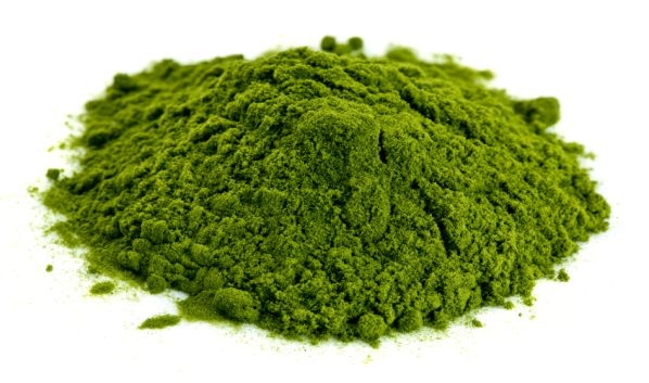 CDC Reports End of Probe into Salmonella Tied to Kratom CDC Reports End of Probe into Salmonella Tied to Kratom