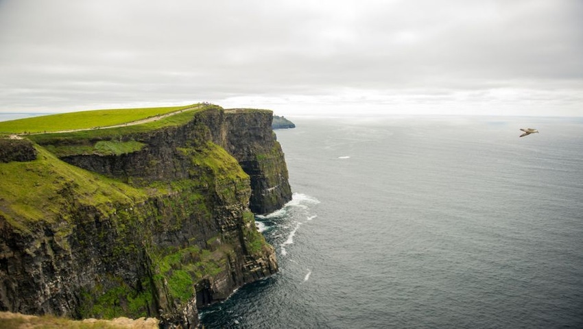Ireland Food-Safety Study Shows Low Risks from Contaminants Ireland Food-Safety Study Shows Low Risks from Contaminants
