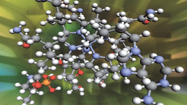 Amino Acids: Market Opportunities from a Consumer Perspective Amino Acids: Market Opportunities from a Consumer Perspective