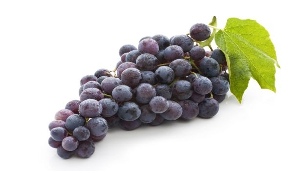 Daily Consumption of Grape Juice May Improve Cognitive Function