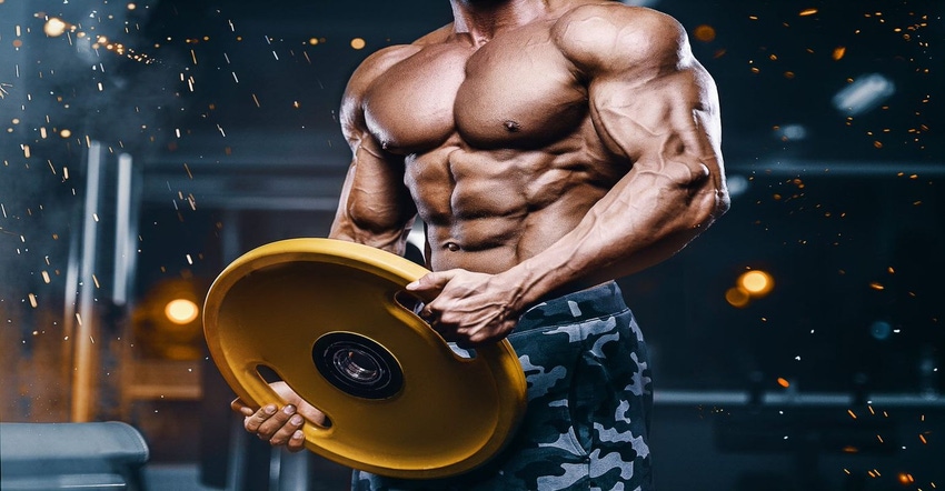 bodybuilder.jpg bodybuilder.jpg
