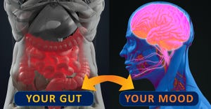 Science of the gut-brain axis.jpg