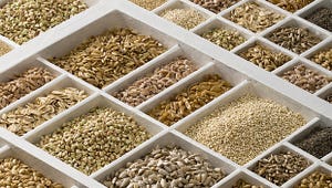 Whole and Ancient Grains: From Amaranth to Zizania