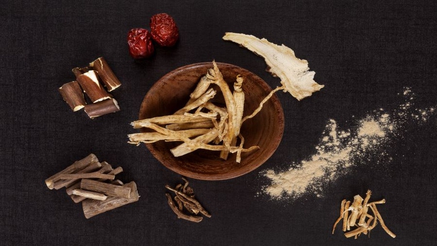 Adaptogens for a Stressful World Adaptogens for a Stressful World