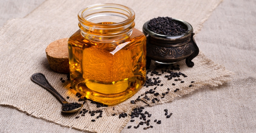 Black seed oil may influence immune response.jpg