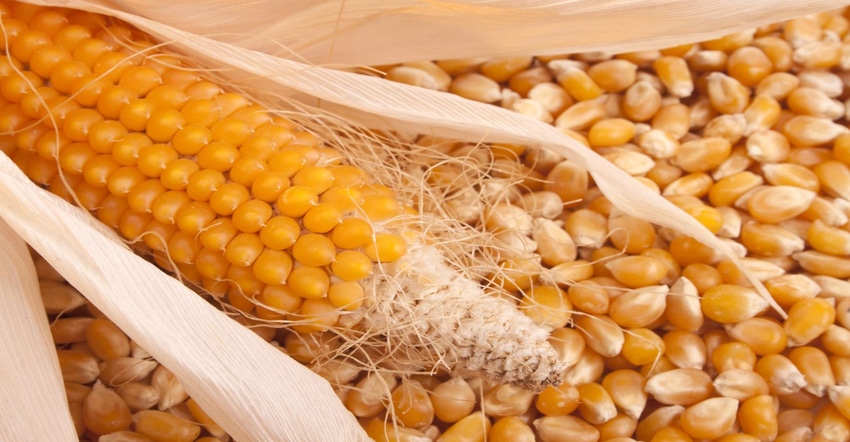 Prices for major food commodities decrease in September