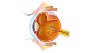 Eye Preservation