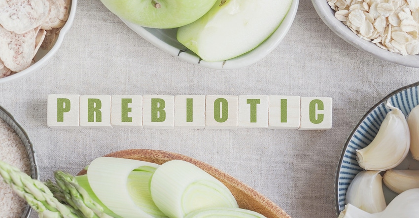 Tips for propelling already on the rise prebiotics.jpg