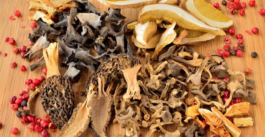 Esca Bona Supplier Hero: M2 Ingredients Esca Bona Supplier Hero: M2 Ingredients