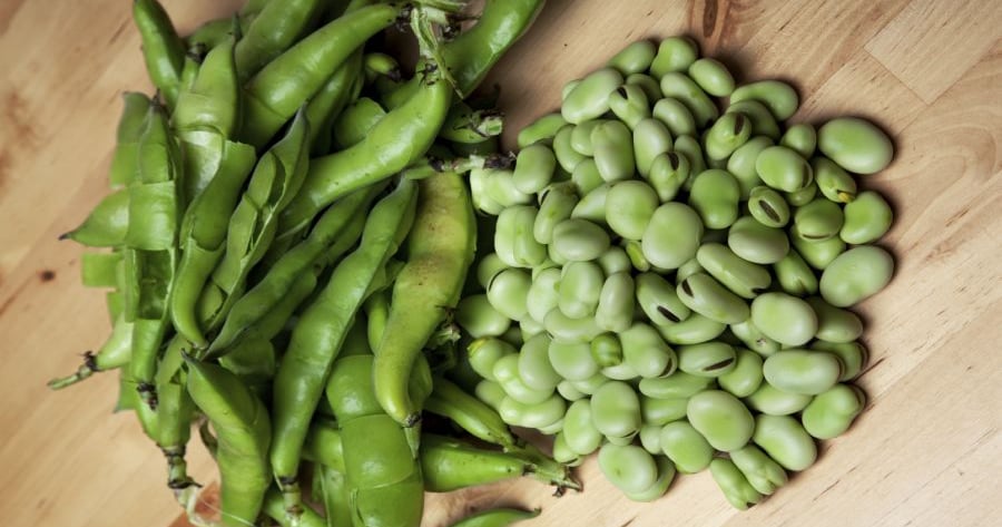 fava beans and glutathione Beans: Nutrition, Benefits & Best Ways to Eat Them G6PD Mutations Cause Favism