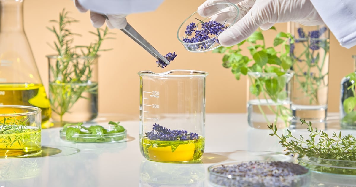 What you need to know about botanical identification