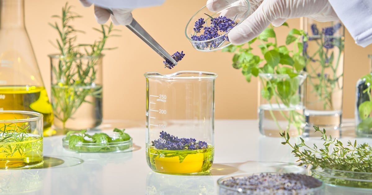 What you need to know about botanical identification