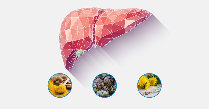 Liver health: New category opportunities