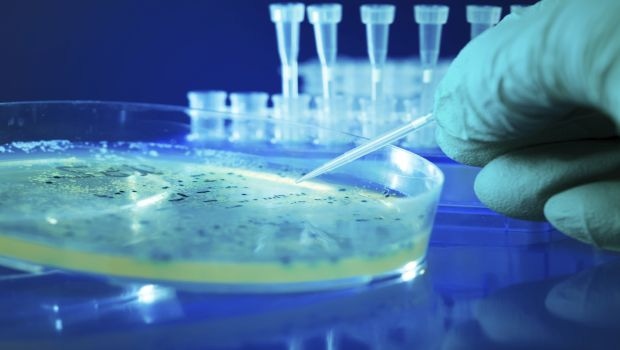 E. coli Testing Market to Reach $2.1 Billion by 2022