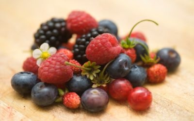 Berry Bonanza Berry Bonanza
