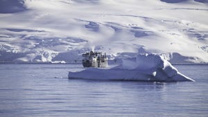 Greenpeace Report on Threats to Antarctic Ocean Prompts UK Retailer to Halt Krill Sales