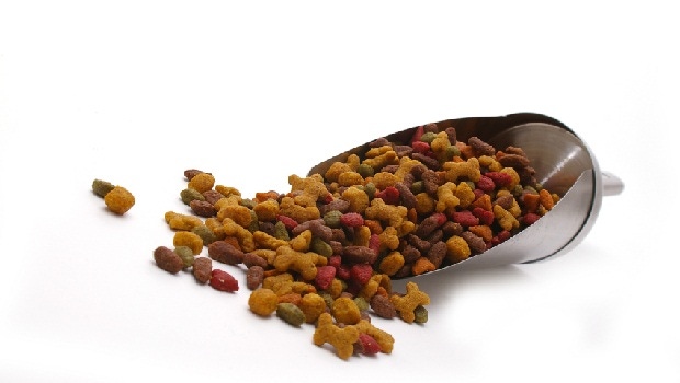 Animal Nutrition Insights Report: Optimizing Pet Food Product Development