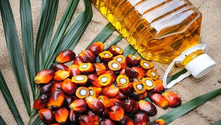 FAO: Sliding Dairy Prices Offset Rises in Palm Oil, Sugar