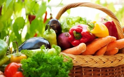 Vibrant Carotenoids Vibrant Carotenoids