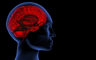 The Cognitive Continuum: Vitamins for Vitality The Cognitive Continuum: Vitamins for Vitality