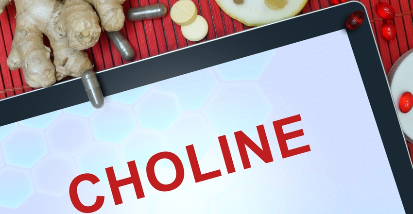 Choline for the female athlete Choline for the female athlete