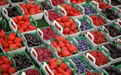 Berries Market Experiences Considerable Growth