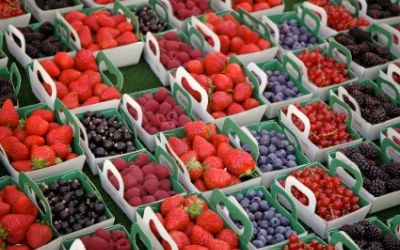 Berries Market Experiences Considerable Growth Berries Market Experiences Considerable Growth