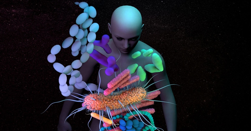 human microbiome.jpg human microbiome.jpg