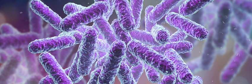 NPI-DM-Probiotics-1019-1200x400.jpg NPI-DM-Probiotics-1019-1200x400.jpg