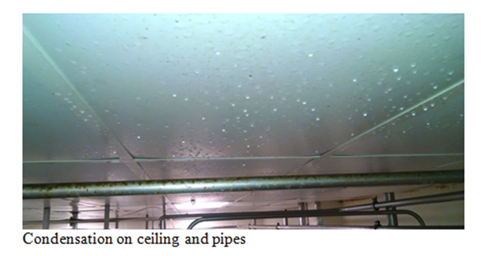 Condensation on celiing and pipes.png