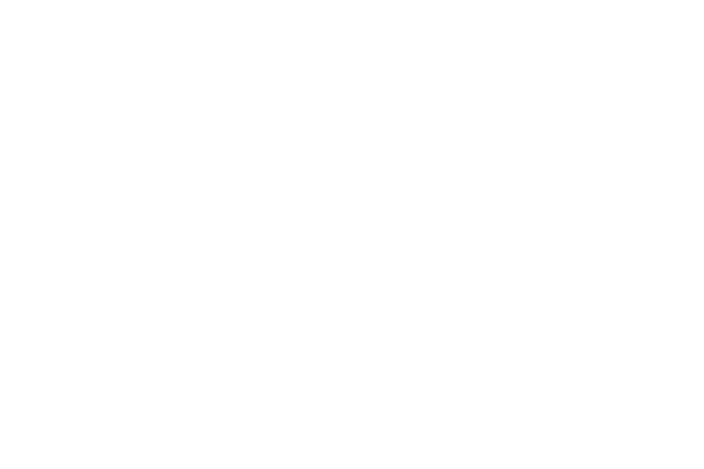 Partner-Logos-640x427-everest.png