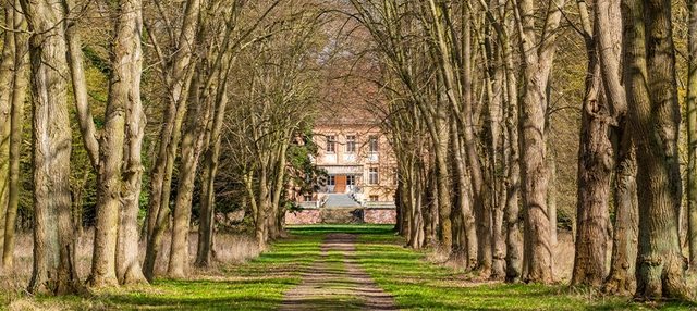 Herbstliche Baumallee hinführend zu herrschaftlichen Haus.