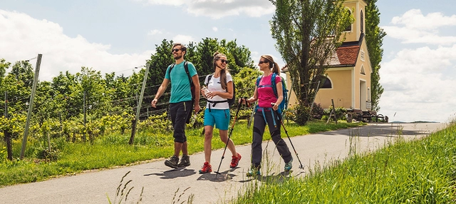 Drei Wanderer auf einer ruhigen Straße zwischen Weinbergen und Wiesen, im Hintergrund ist eine Kirche.