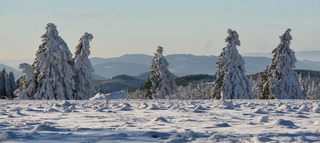 Ausblick auf verschneite Winterlandschaft in Winterberg.