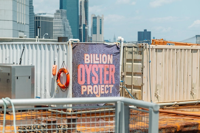 Oris  New York Harbor Limited Edition II Project