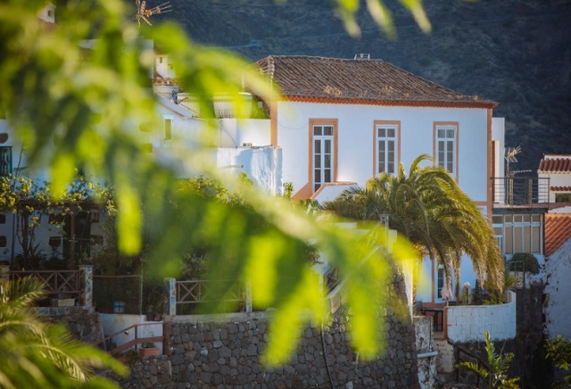 Blick durch Blätter eines Baumes auf ein Haus in Gran Canaria