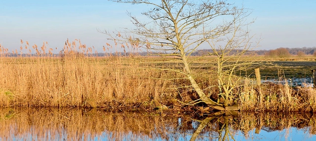 Fluss und Wiesenlandschaft 