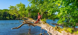 Aufnahme einer Person, welche auf einem Baum am See sitzt.
