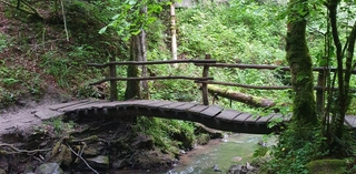 Aufnahme einer Brücke über einen Bach im Schwäbisch-Fränkischen Wald.