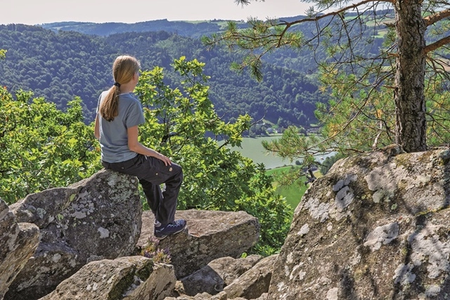 Steiner Felsen