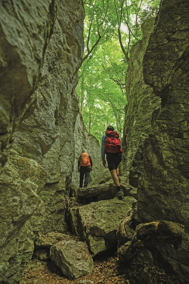 Zwei Wanderer auf einem Wanderweg im Grünen