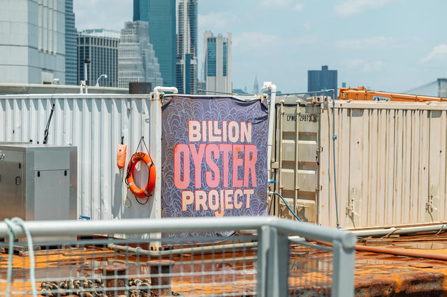 Oris_New_York_Harbor_Limited_Edition_II_Project.jpg