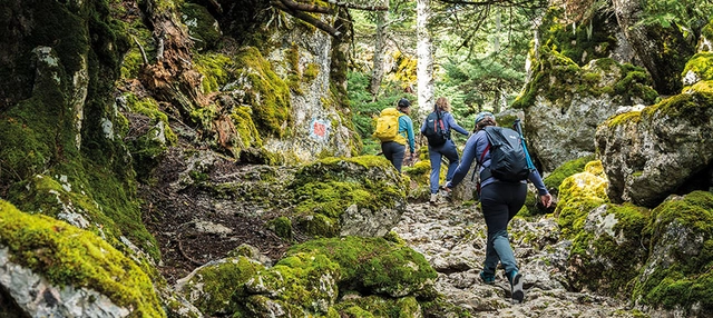 Drei Wandernde beim Aufstieg auf einem steinigen Weg in Griechenland.