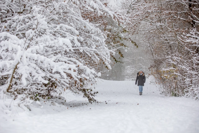 Winterweiden (42 von 77).jpg