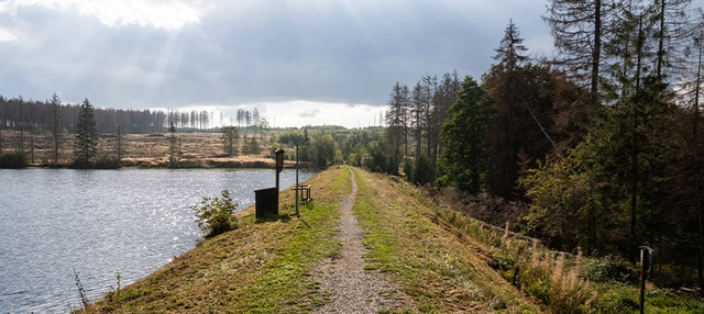 Wanderweg zwischen Gewässer und Wald in Sachsen-Anhalt.