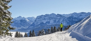 Skifahrer auf Piste vor Bergpanorama im Bregenzerwald.