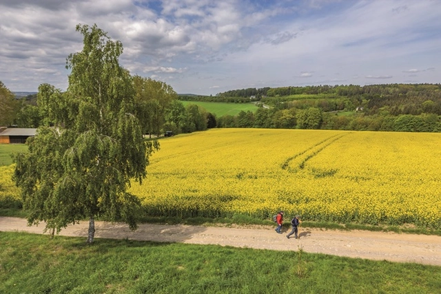 03_Wanderung_Lauckner_oge_des25_DJI_0281.jpg Wandern Erzgebirge