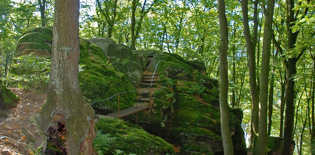 Advertorial_TecklenburgerLand_Hero_C-Tecklenburger_Land_Tourismus_Gabi_Nocke