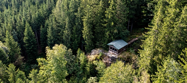 Ein Gebäude in einem grünen Wald in Thüringen.